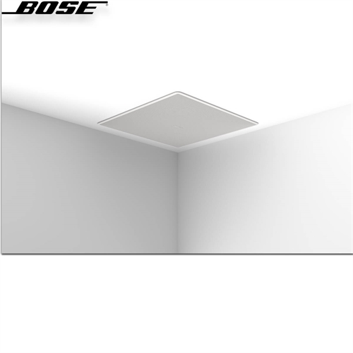 Loa Bose EdgeMax EM180 14